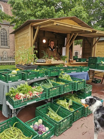 Marché des producteurs locaux
