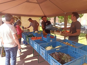 Marché des producteurs locaux